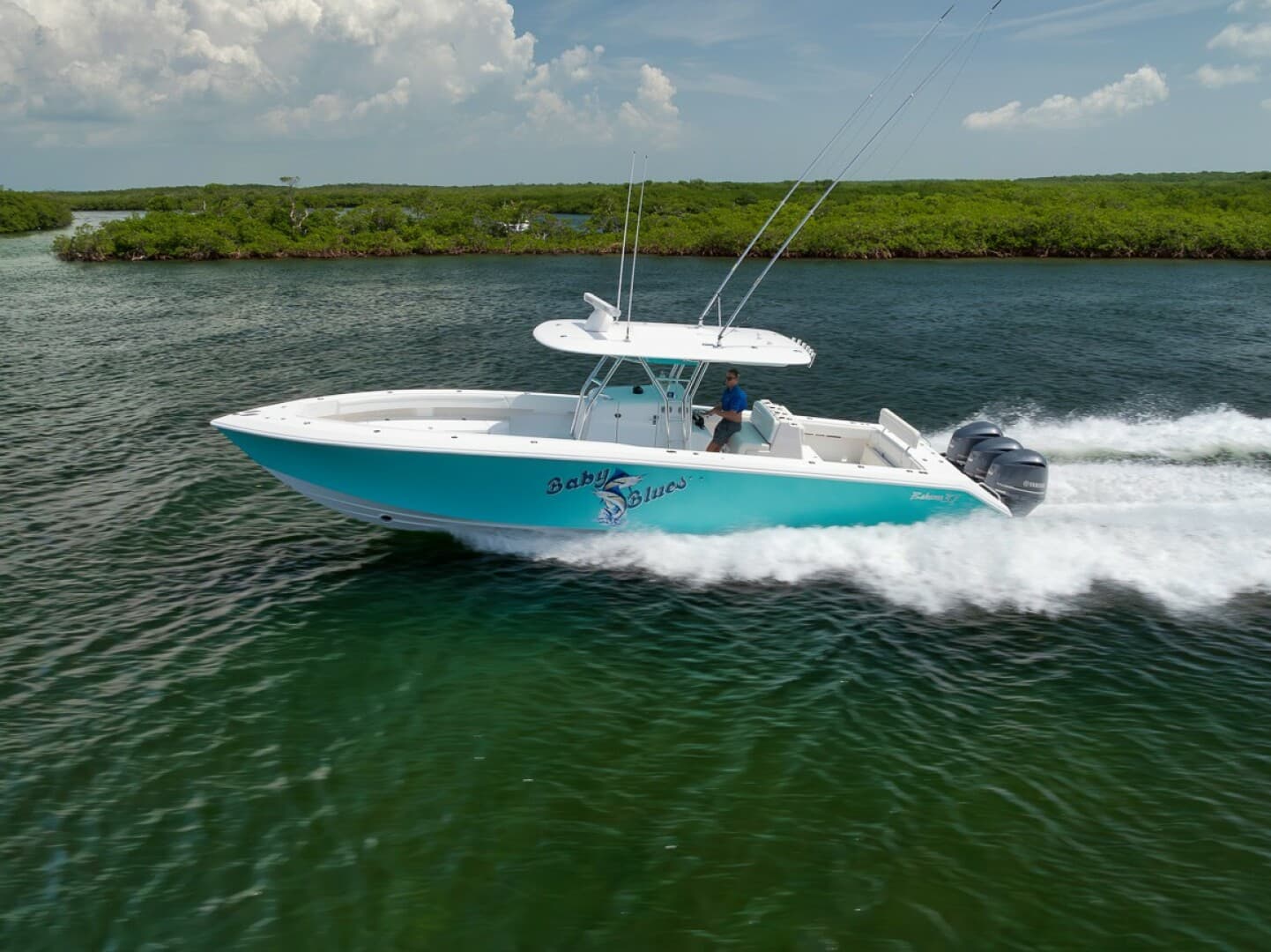 2013 Bahama — photo 1