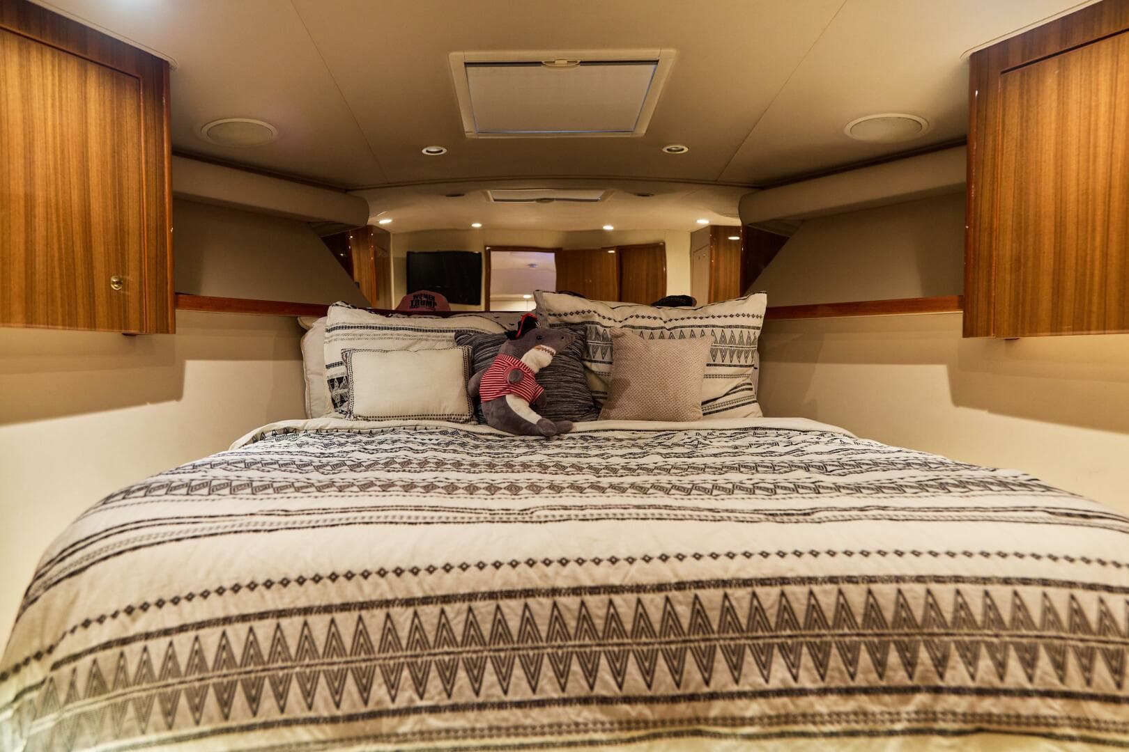 2006 Viking — photo 30