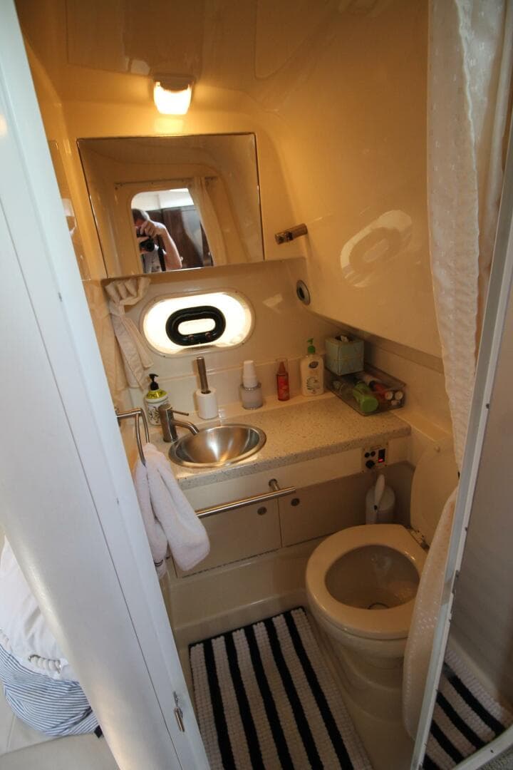 2015 Sea Ray 310 Sundancer — photo 13