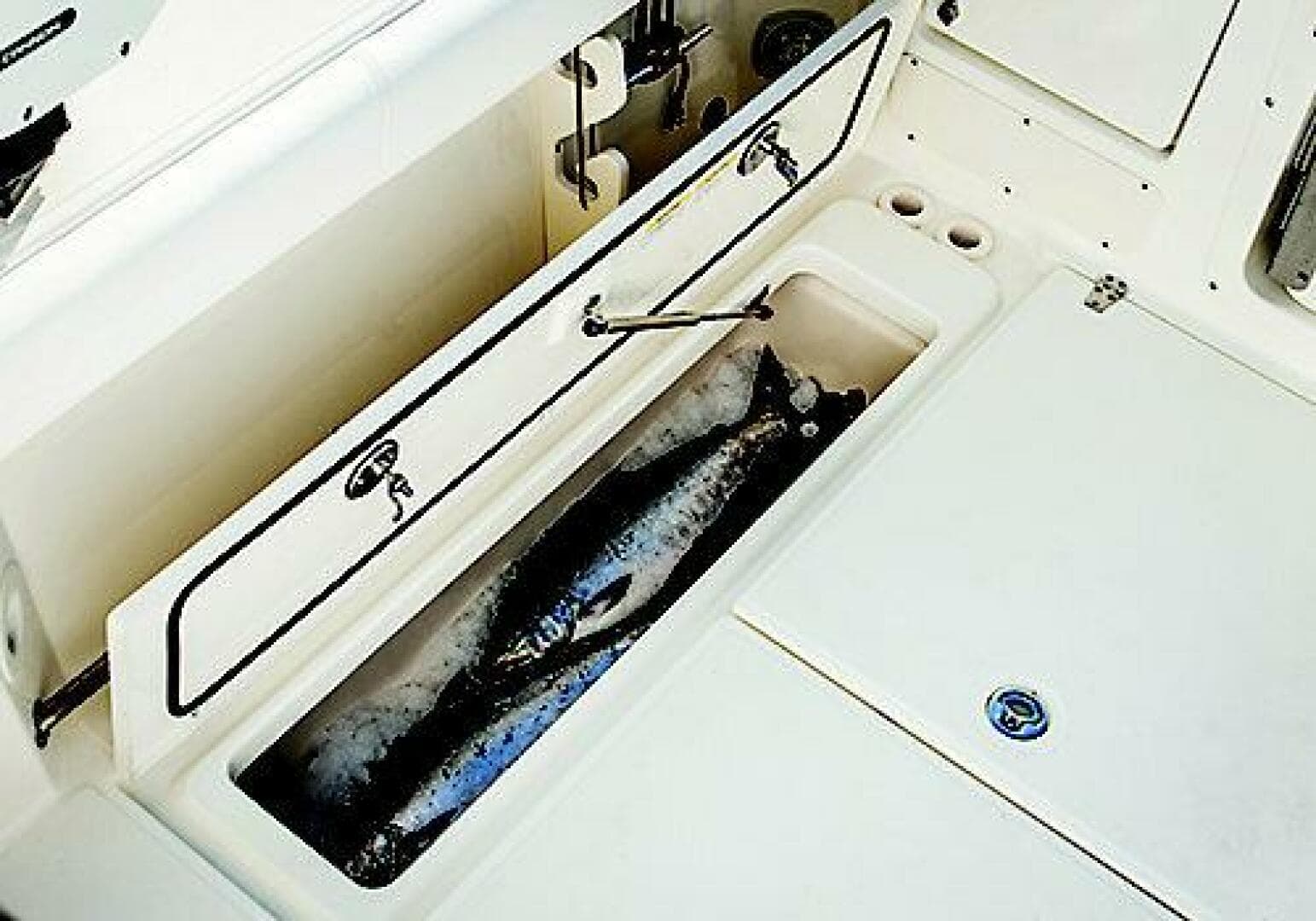 2019 Boston Whaler Conquest — photo 9