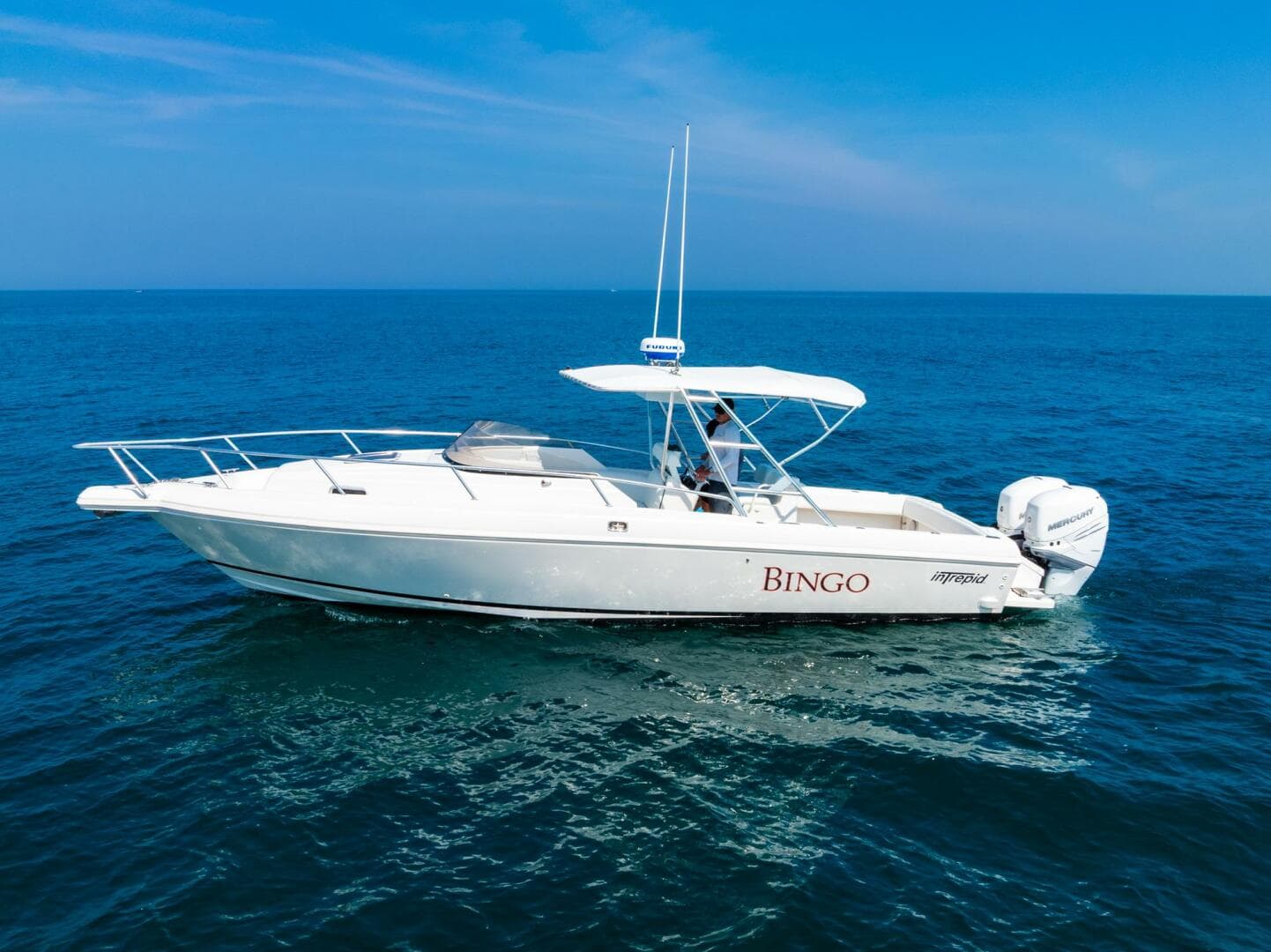 1995 Intrepid — photo 6