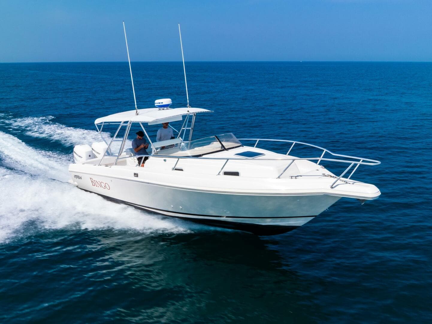 1995 Intrepid — photo 2