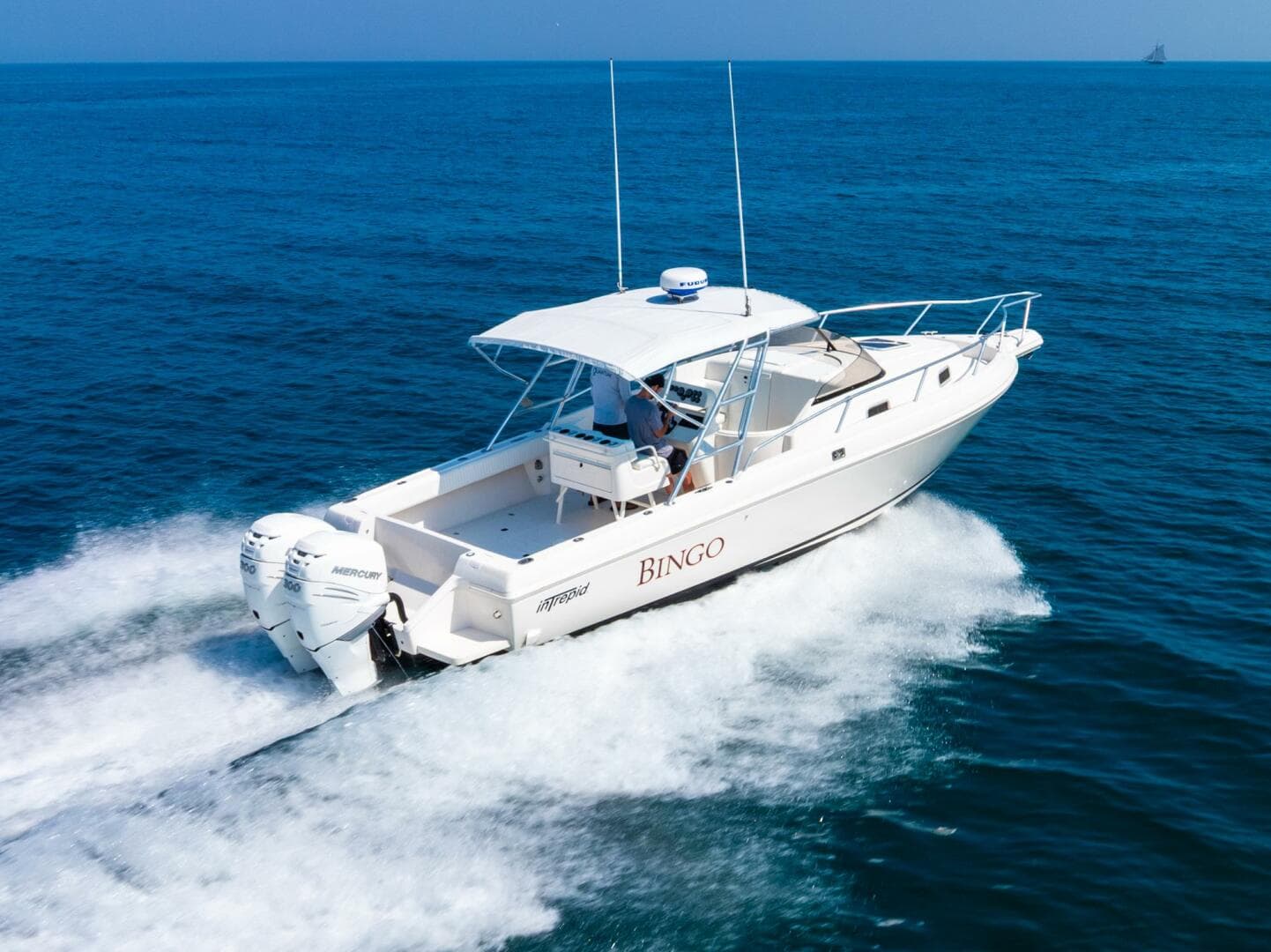 1995 Intrepid — photo 4