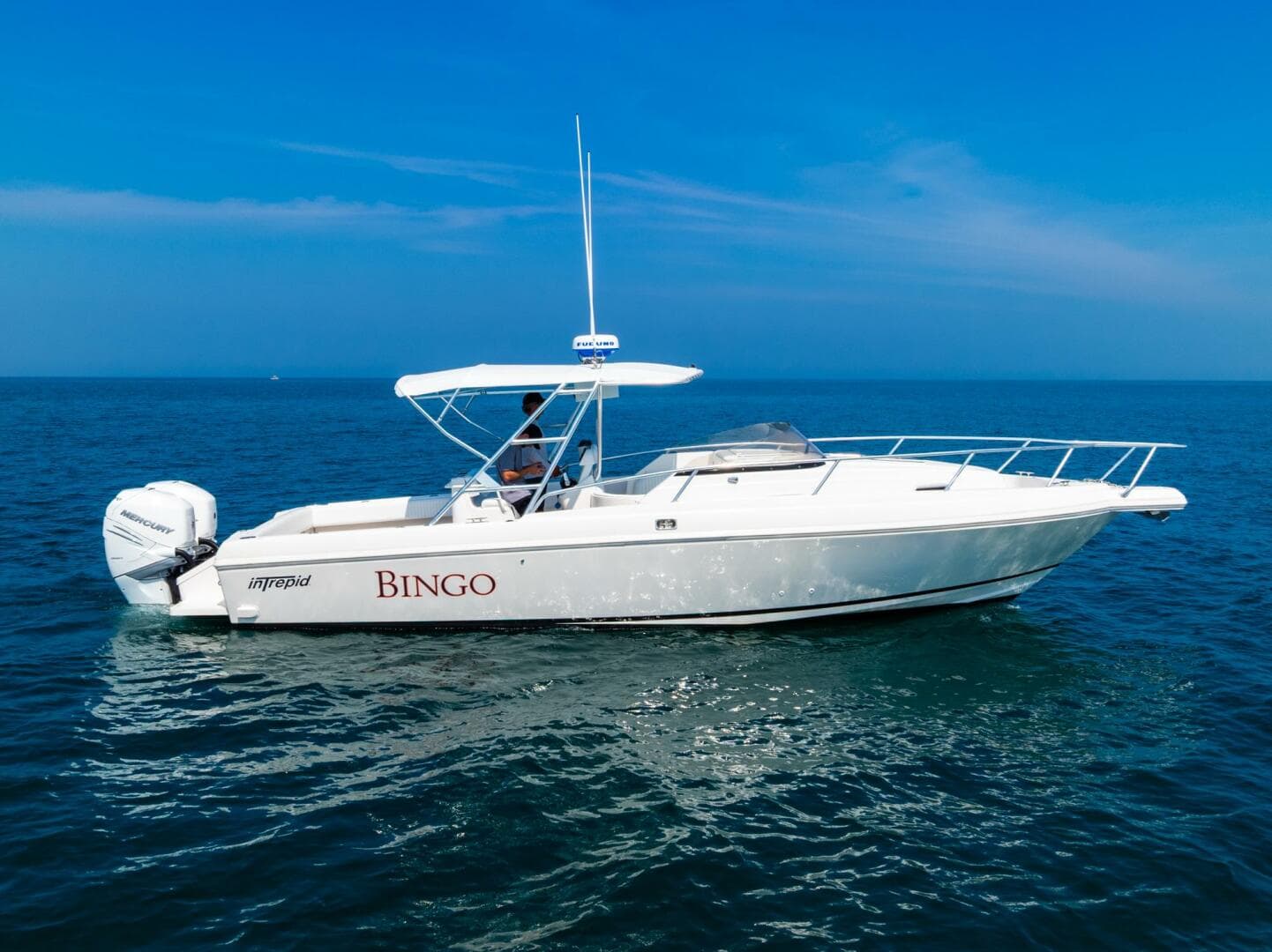 1995 Intrepid — photo 5