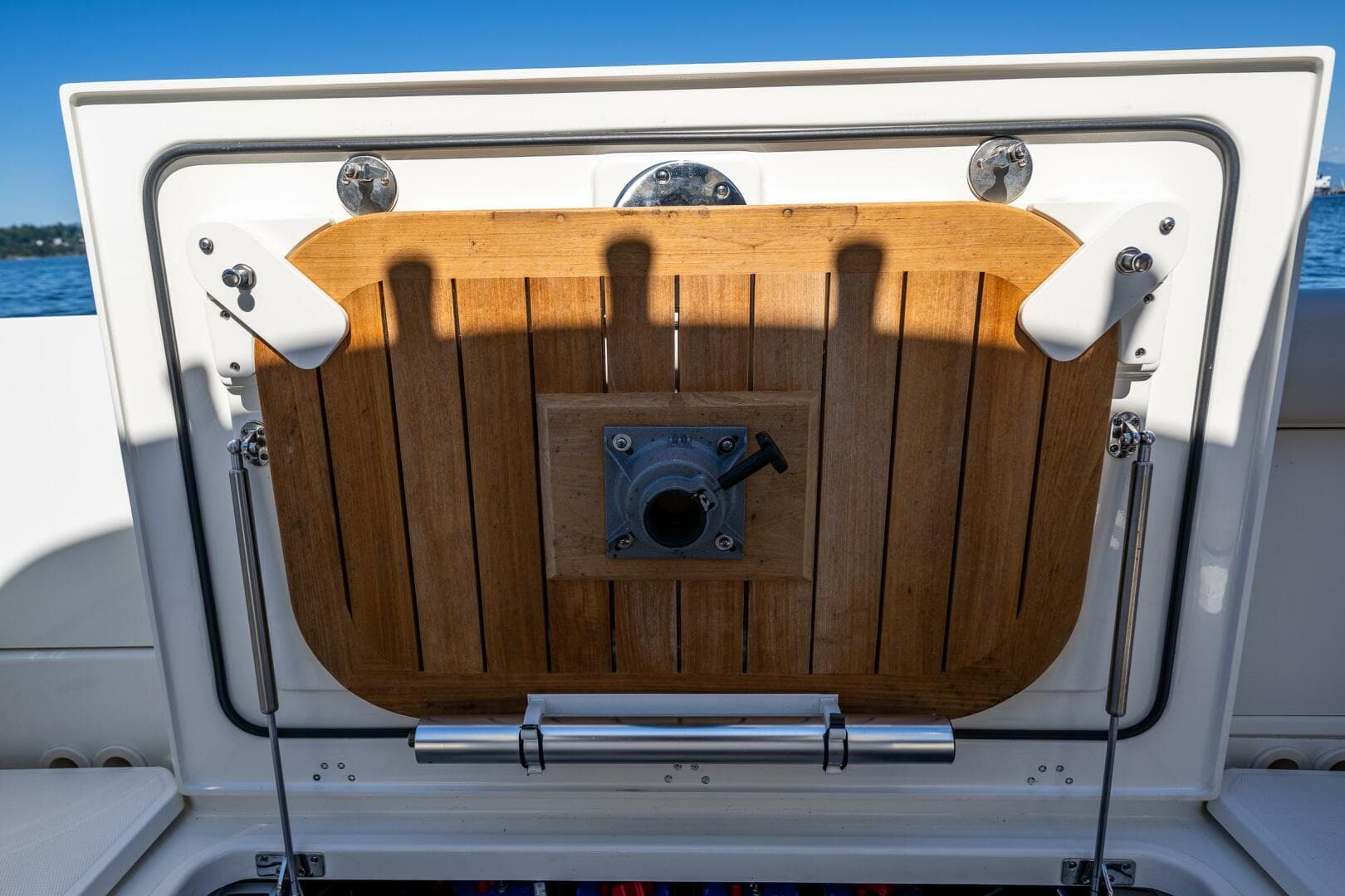 2017 Boston Whaler 330 Outrage — photo 32