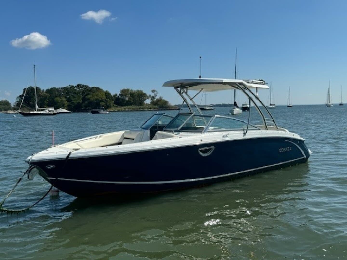 2019 Cobalt R7 — photo 1