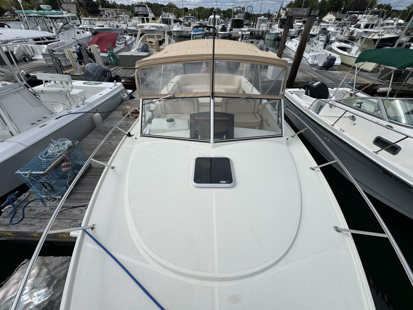 2006 Limestone — photo 39