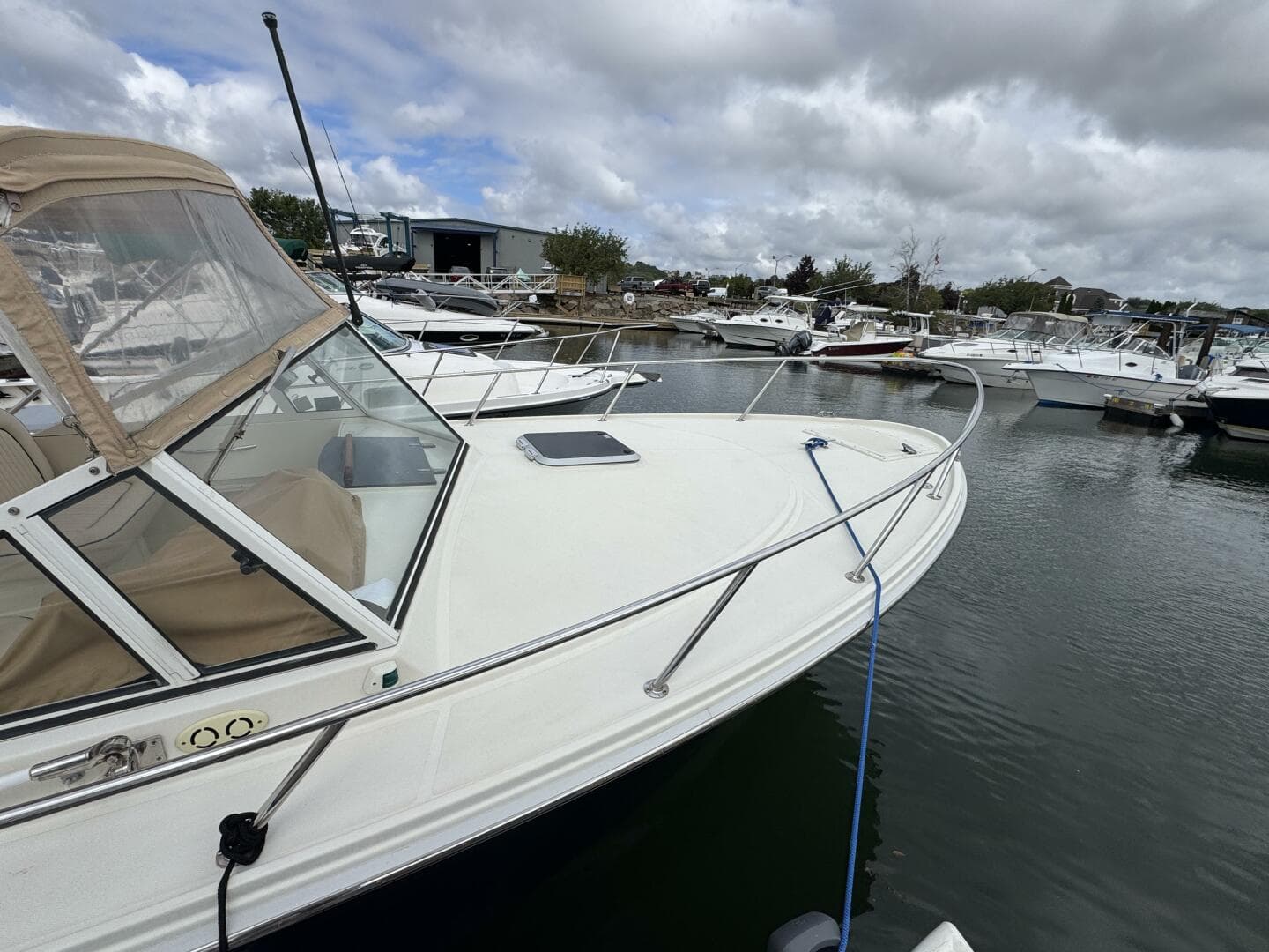 2006 Limestone — photo 6