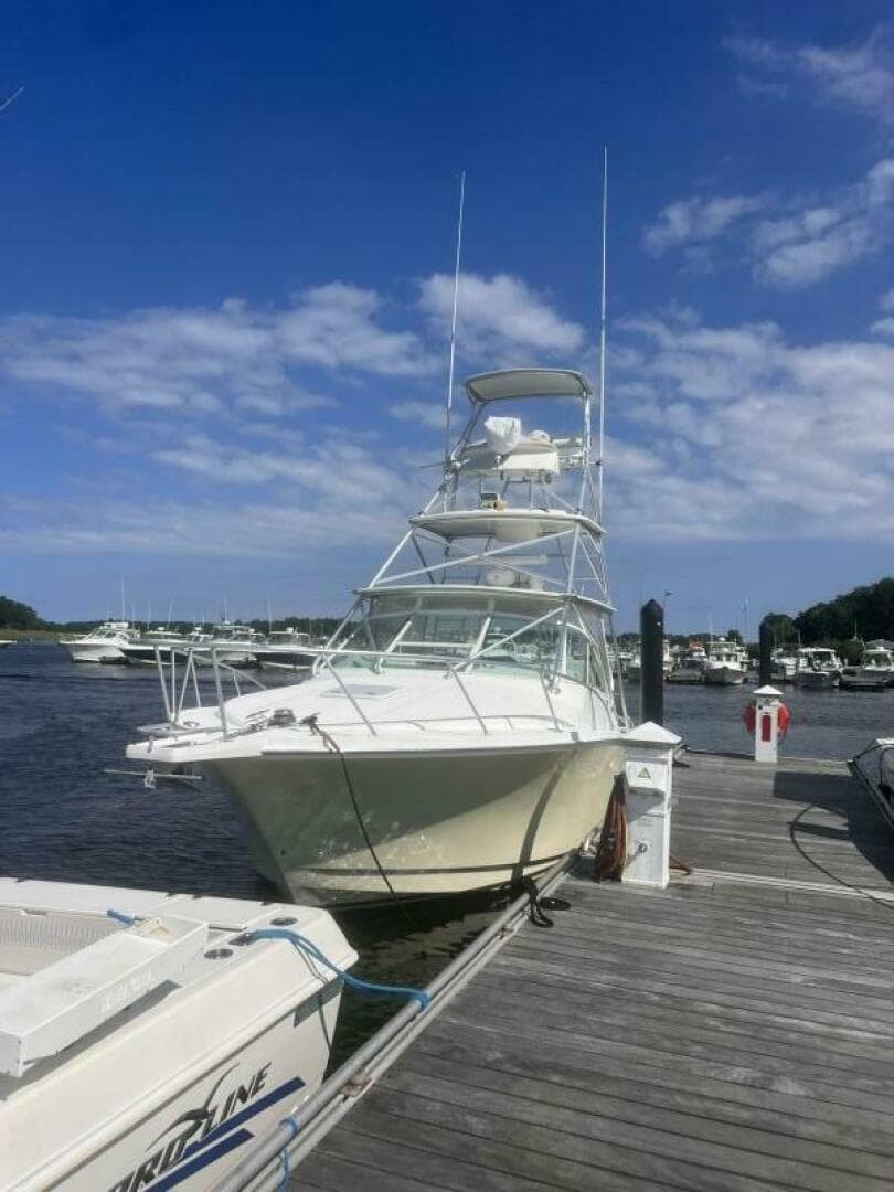 2001 Cabo Express — photo 5