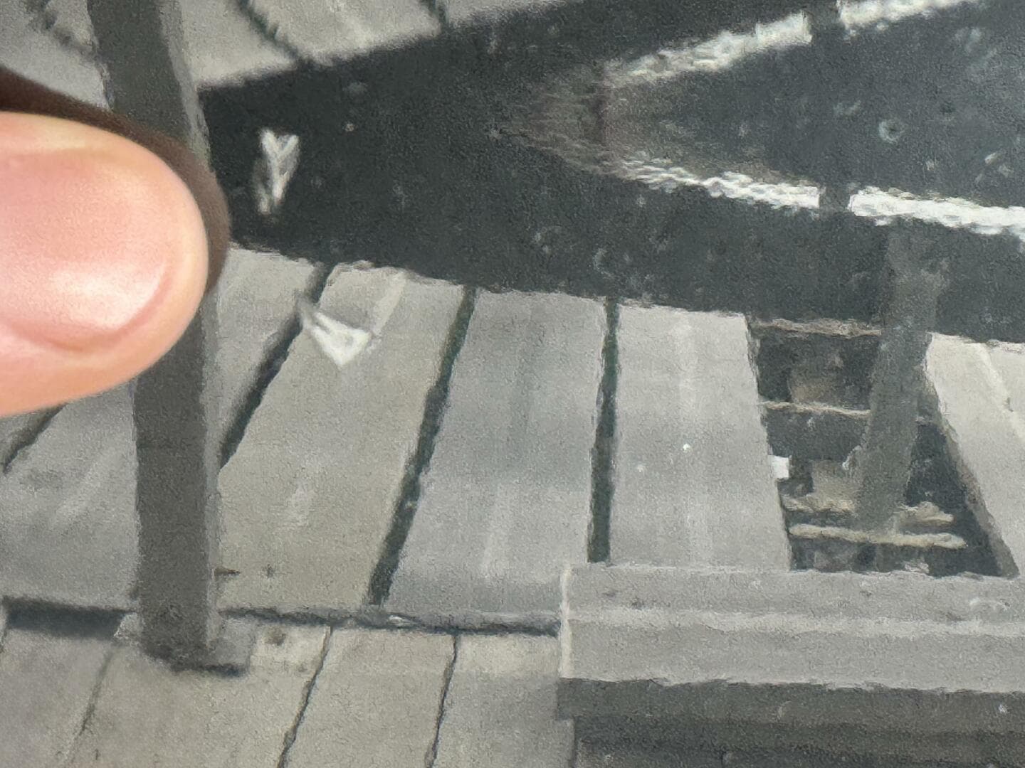 2024 Yamaha Boats 252 SD — photo 117