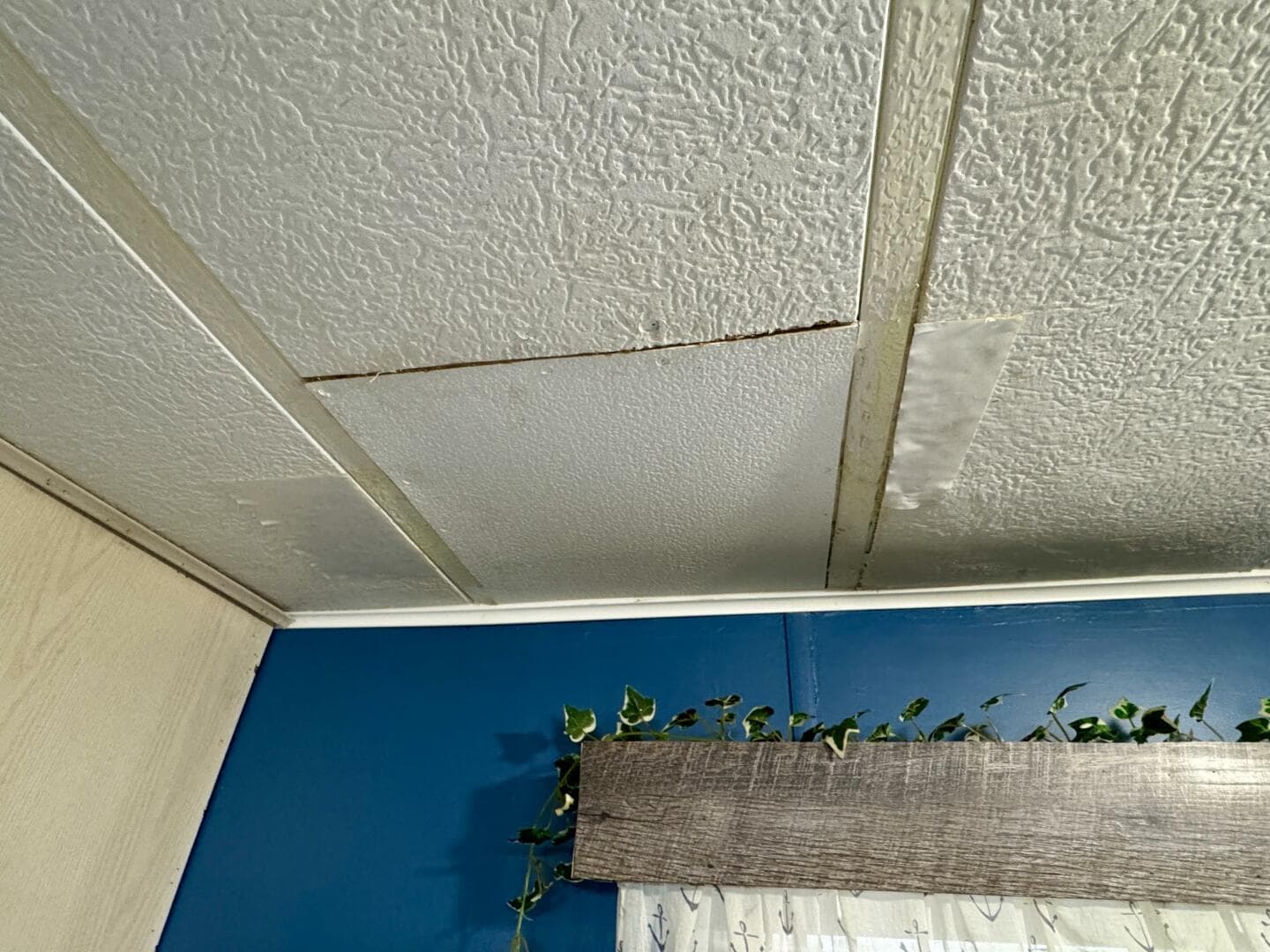 1999 Aqua Chalet Widebody — photo 29