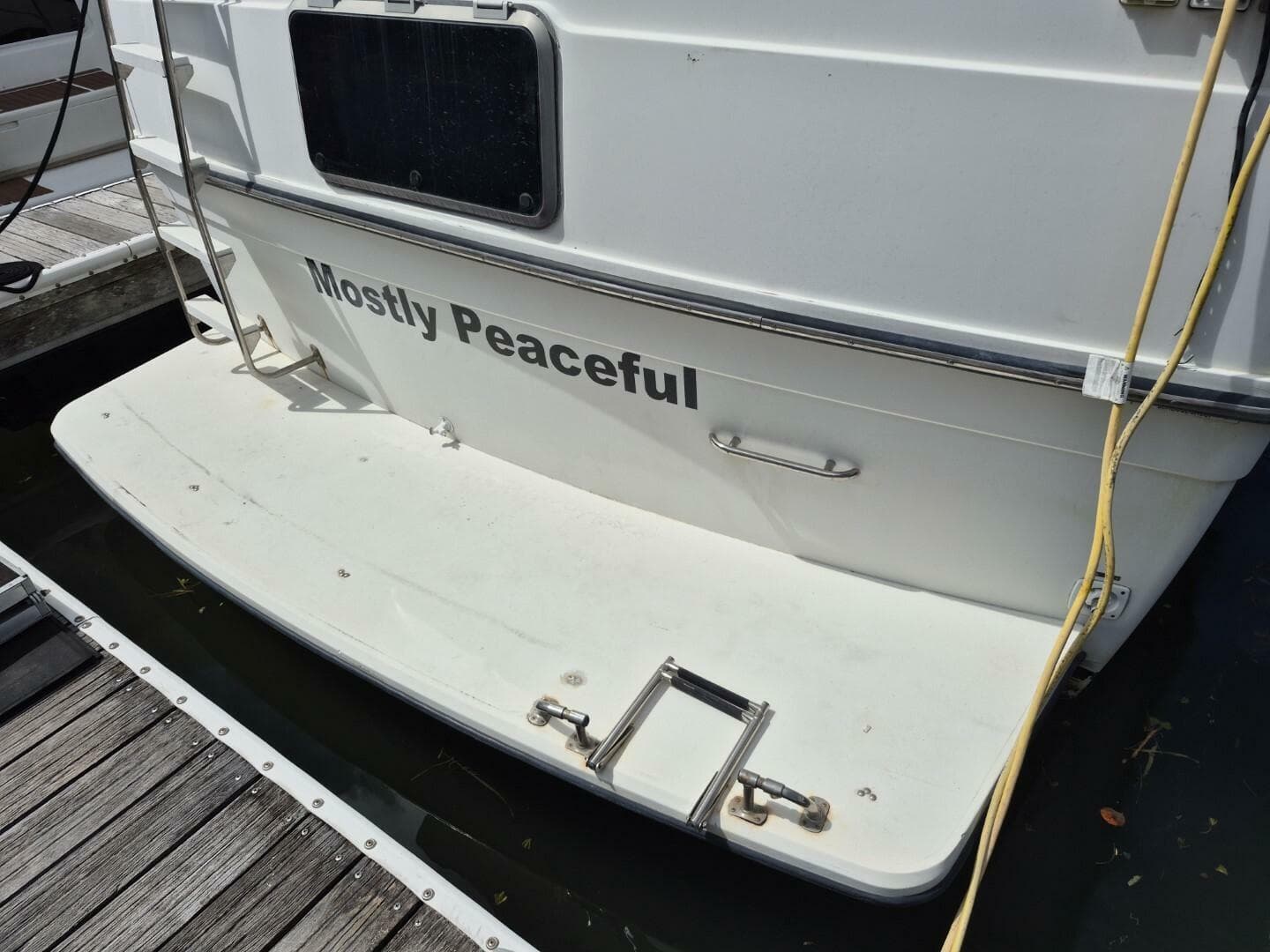 1991 Carver — photo 3