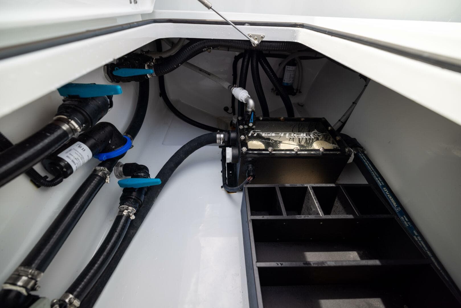 2025 Freeman — photo 65