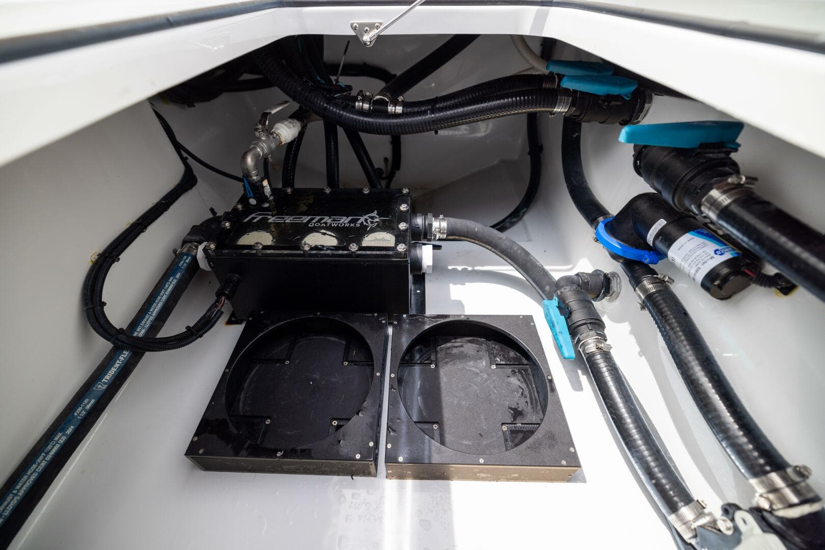 2025 Freeman — photo 68