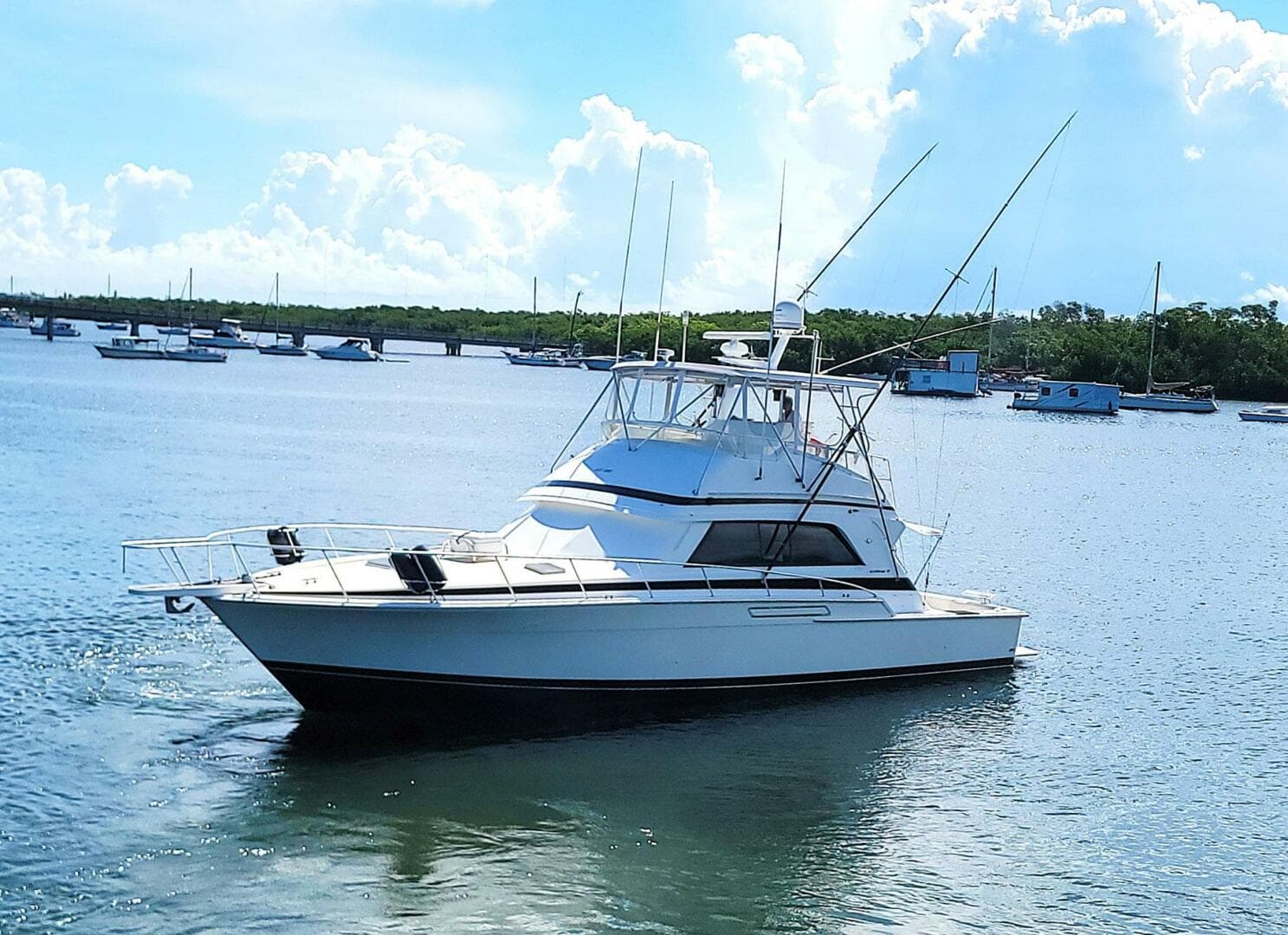 1989 Bertram 50 Convertible — photo 72