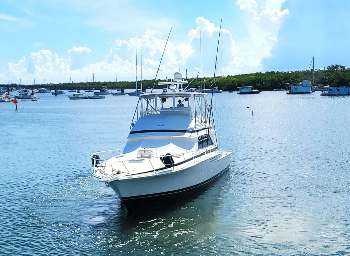 1989 Bertram 50 Convertible — photo 71