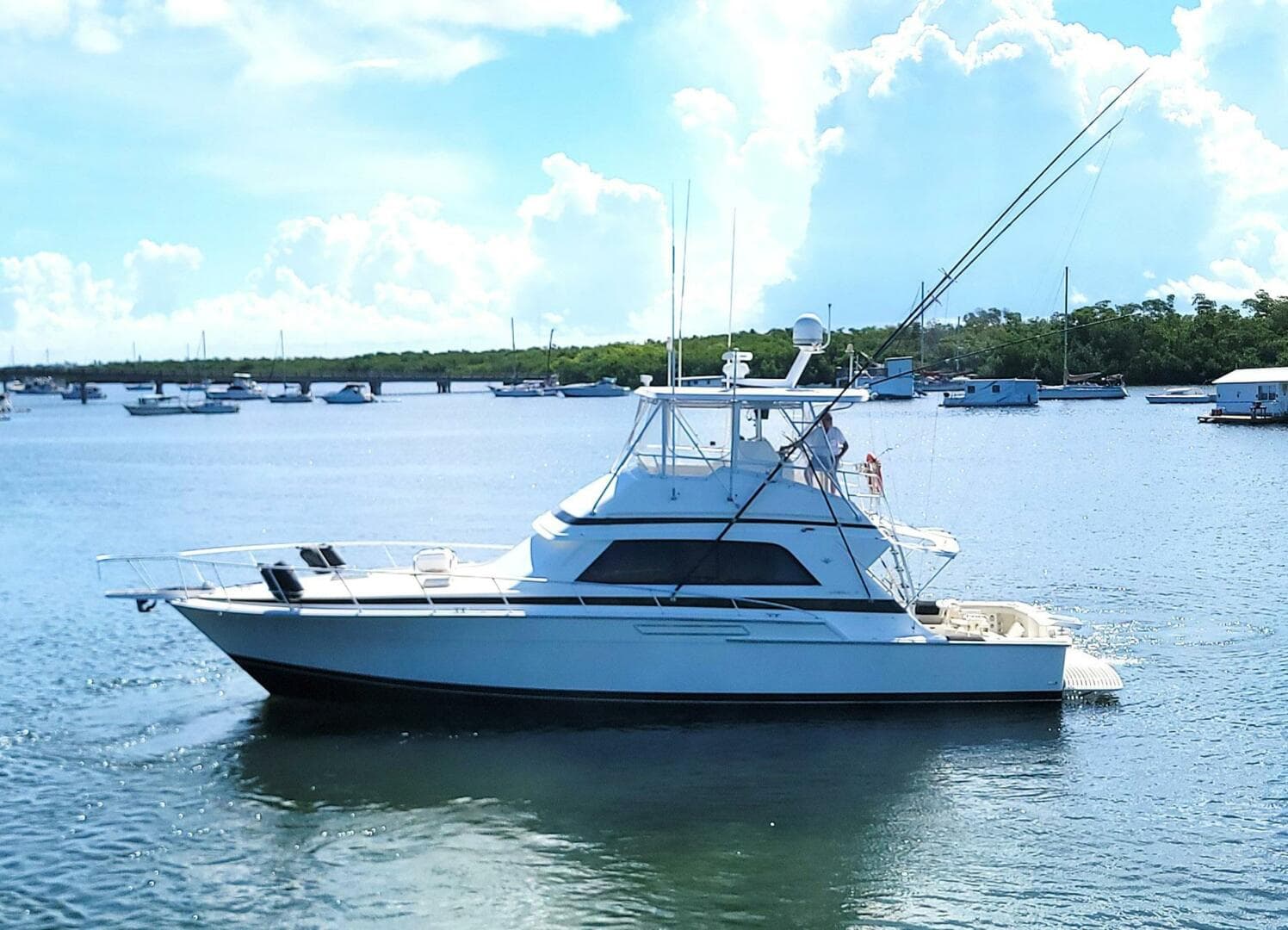 1989 Bertram 50 Convertible — photo 5