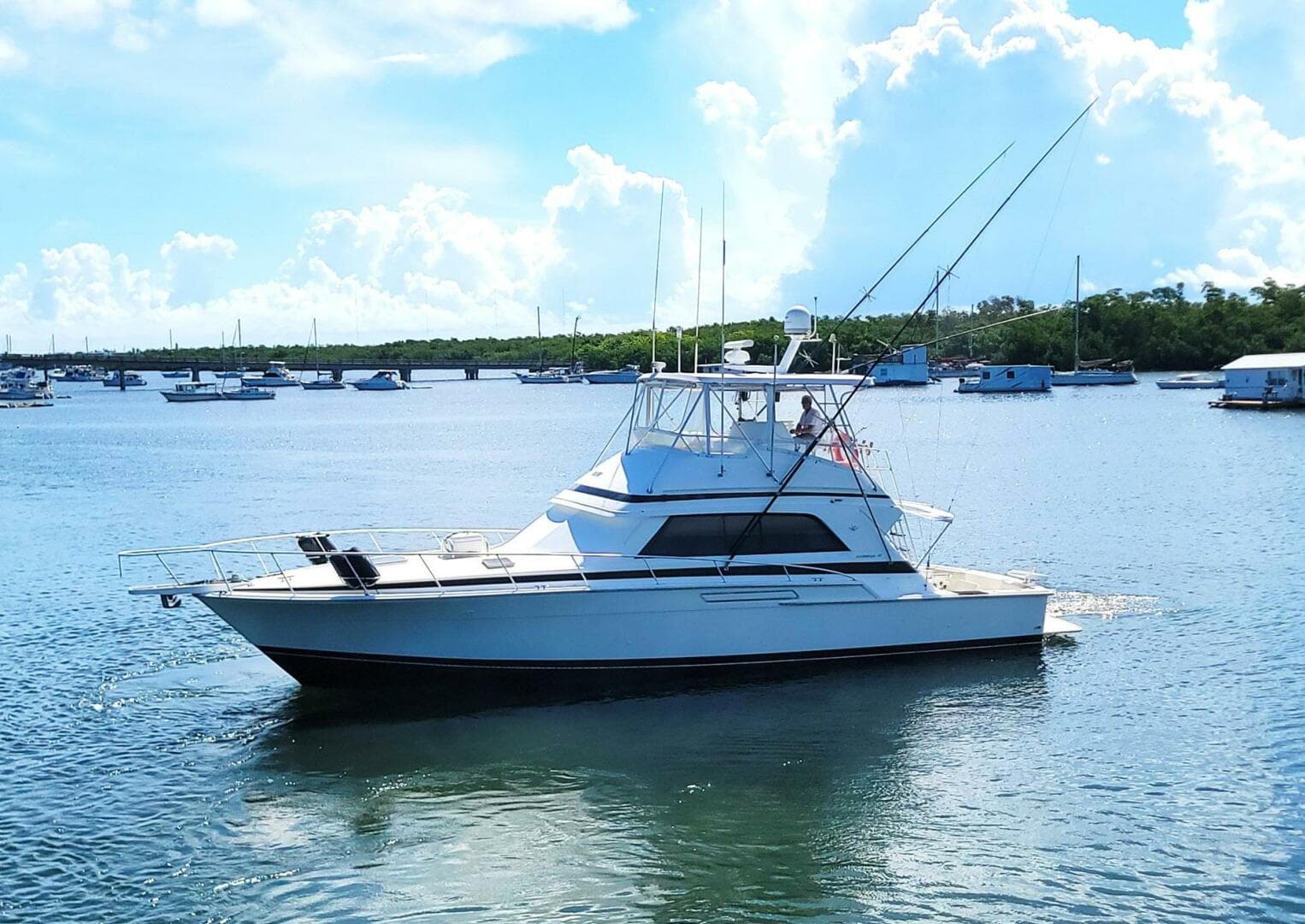 1989 Bertram 50 Convertible — photo 73