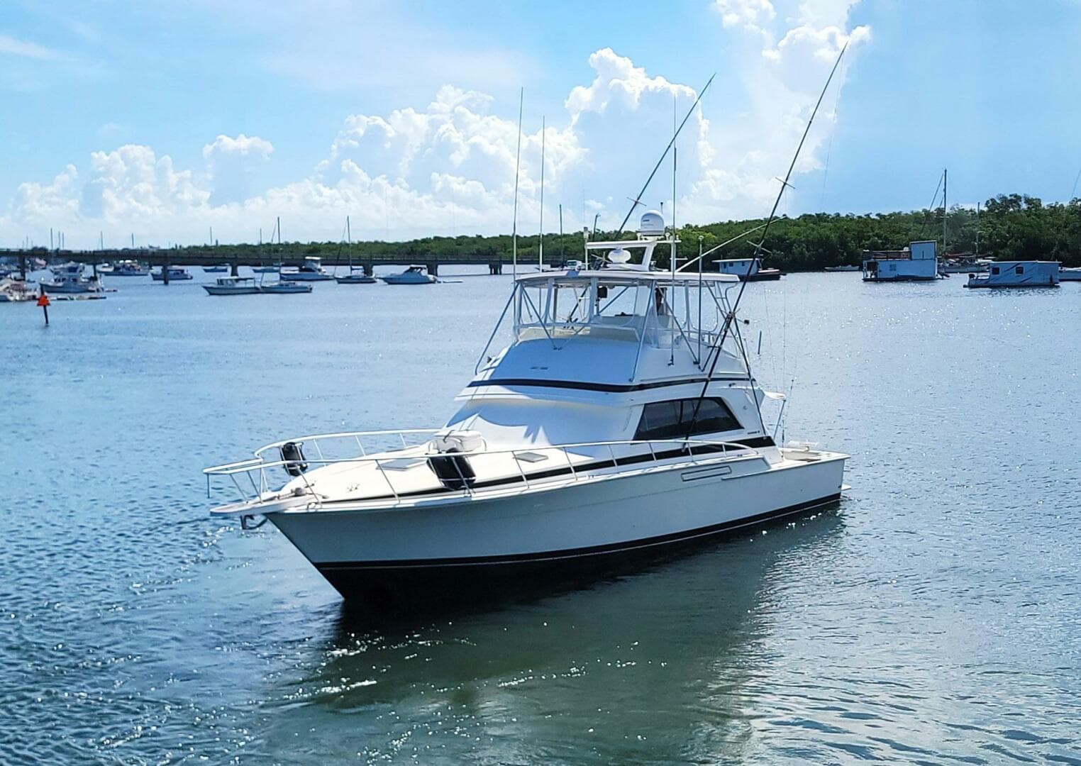 1989 Bertram 50 Convertible — photo 4