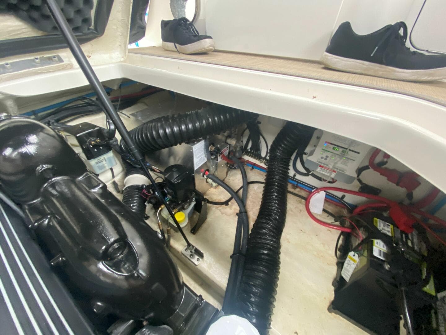 2018 Sea Ray 260 Sundancer — photo 18