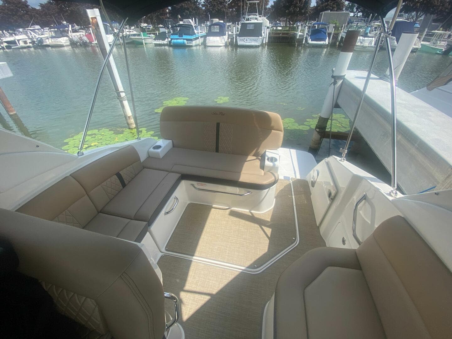 2018 Sea Ray 260 Sundancer — photo 8