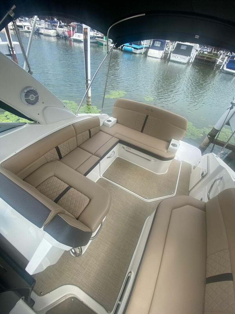 2018 Sea Ray 260 Sundancer — photo 4