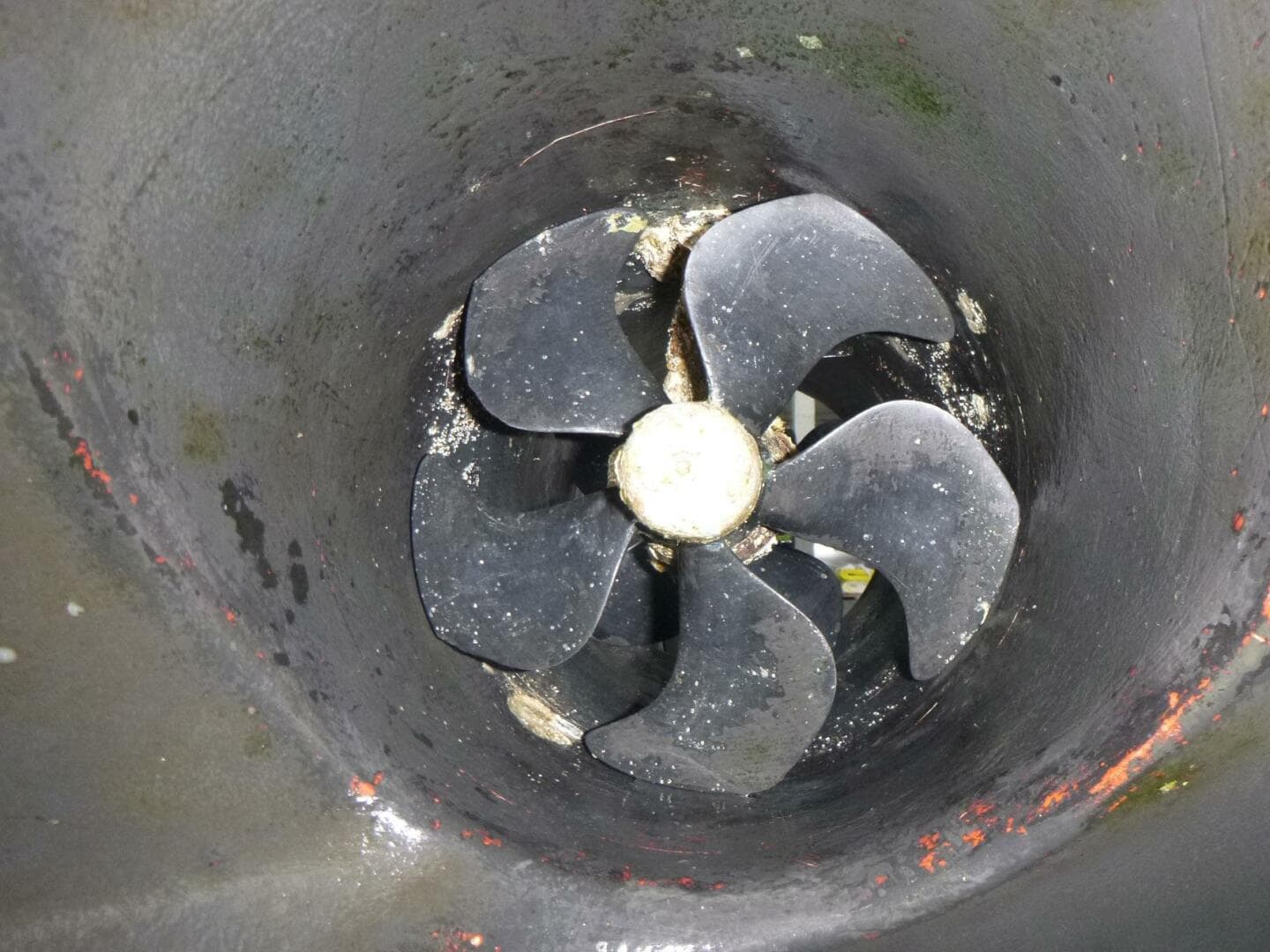 2020 Pershing 62 — photo 67