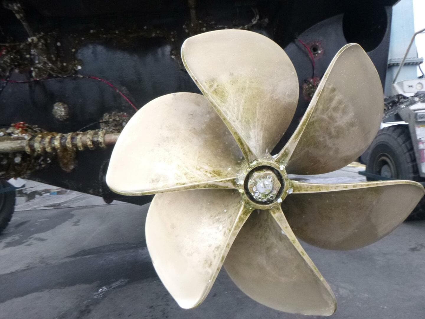 2020 Pershing 62 — photo 70