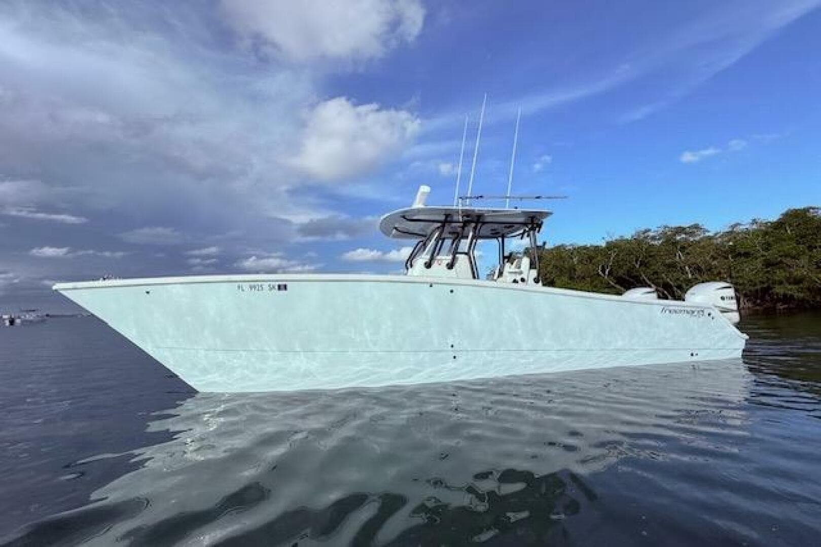 2019 Freeman 34 — photo 26