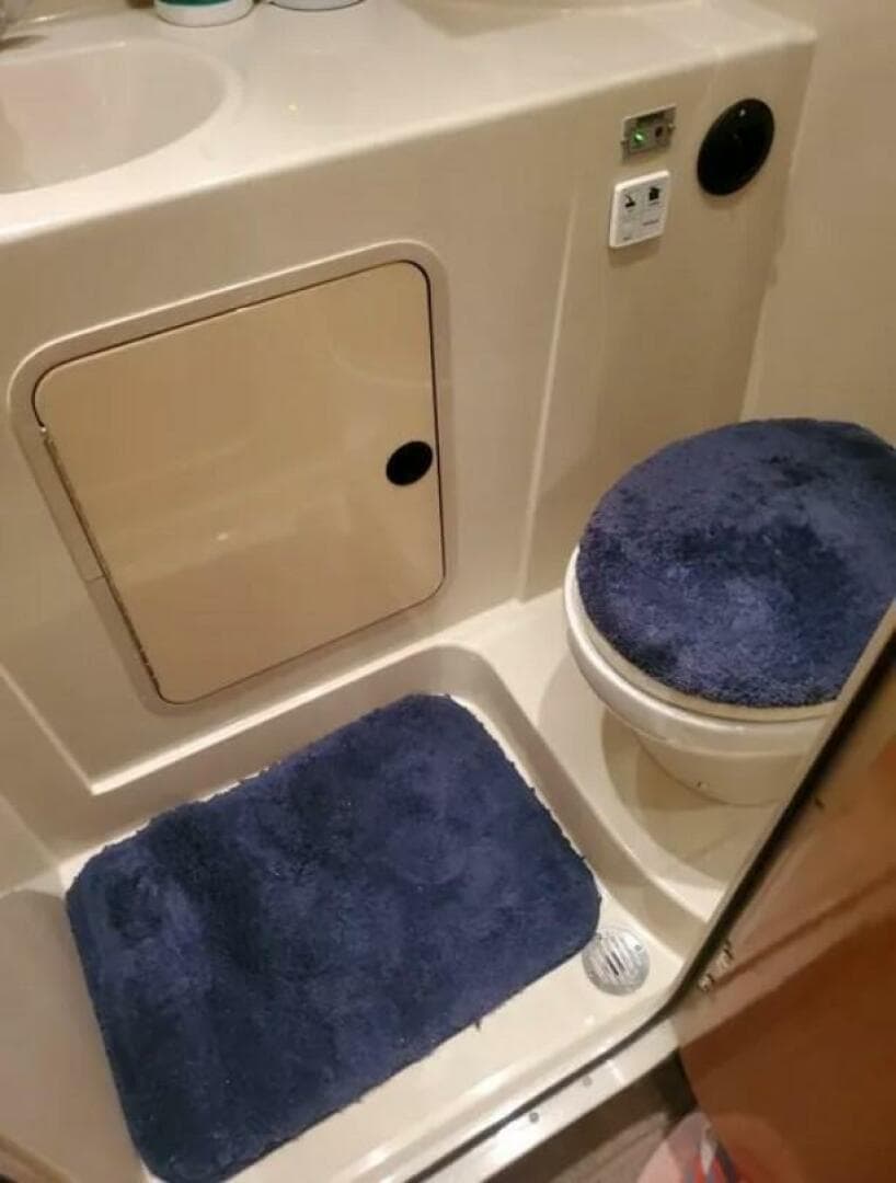 2007 Cruisers Yachts 310 Express — photo 14