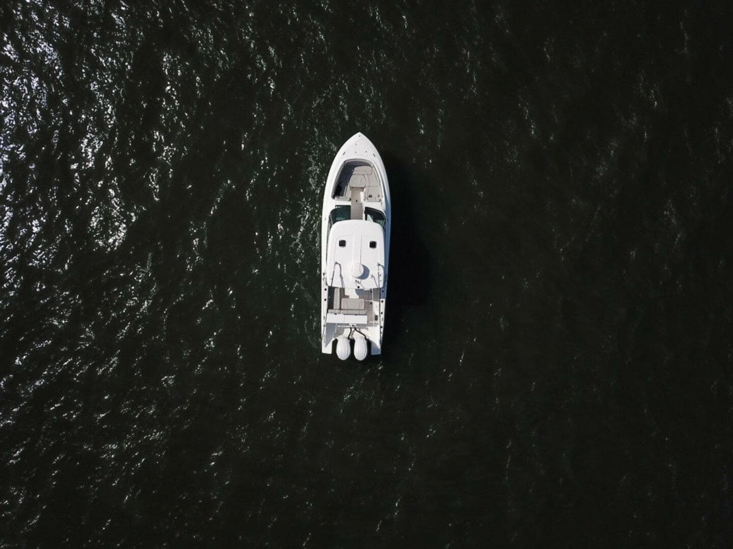 2023 Pursuit DC 295 — photo 3