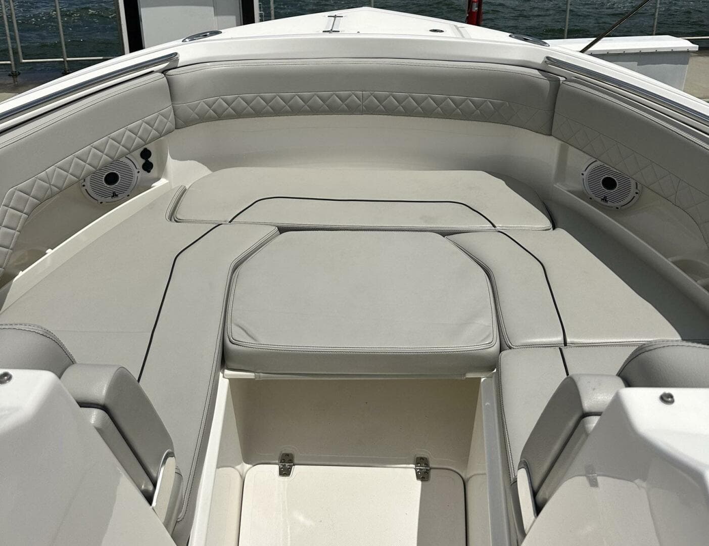 2023 Pursuit DC 295 — photo 9