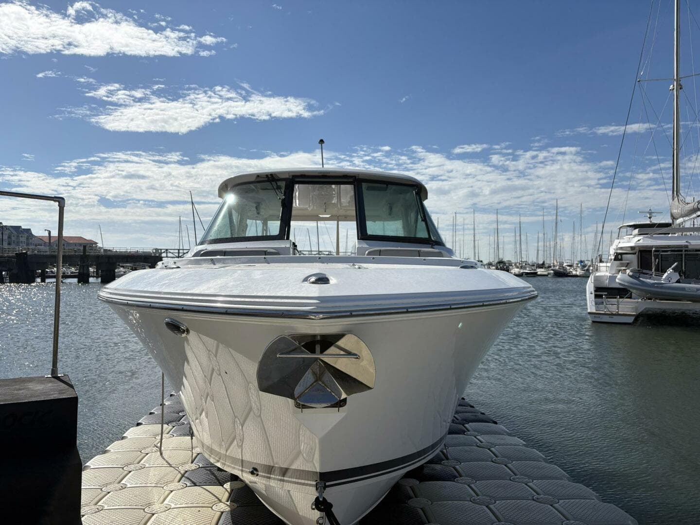 2023 Pursuit DC 295 — photo 6