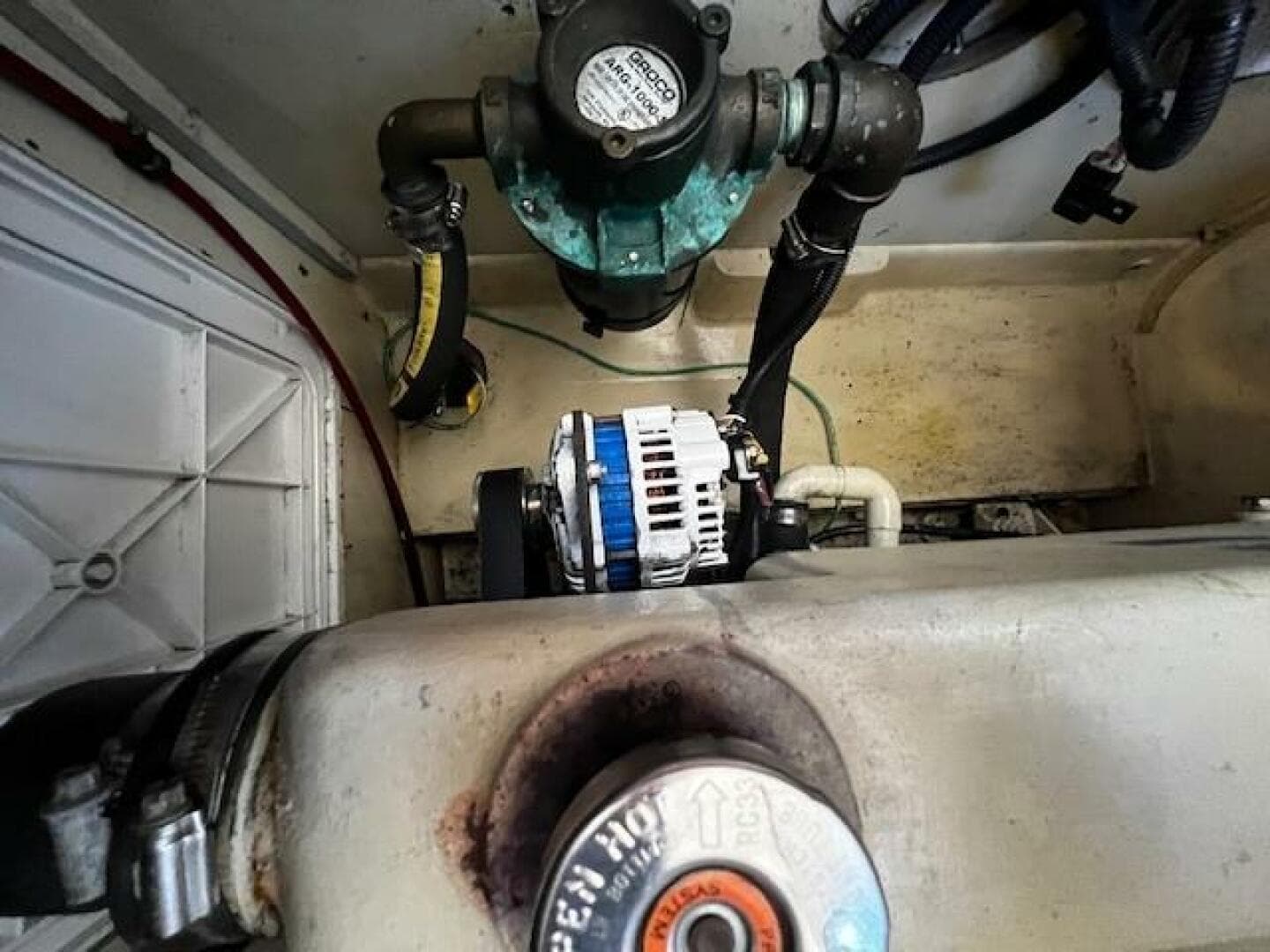 1972 Willard Vega — photo 72