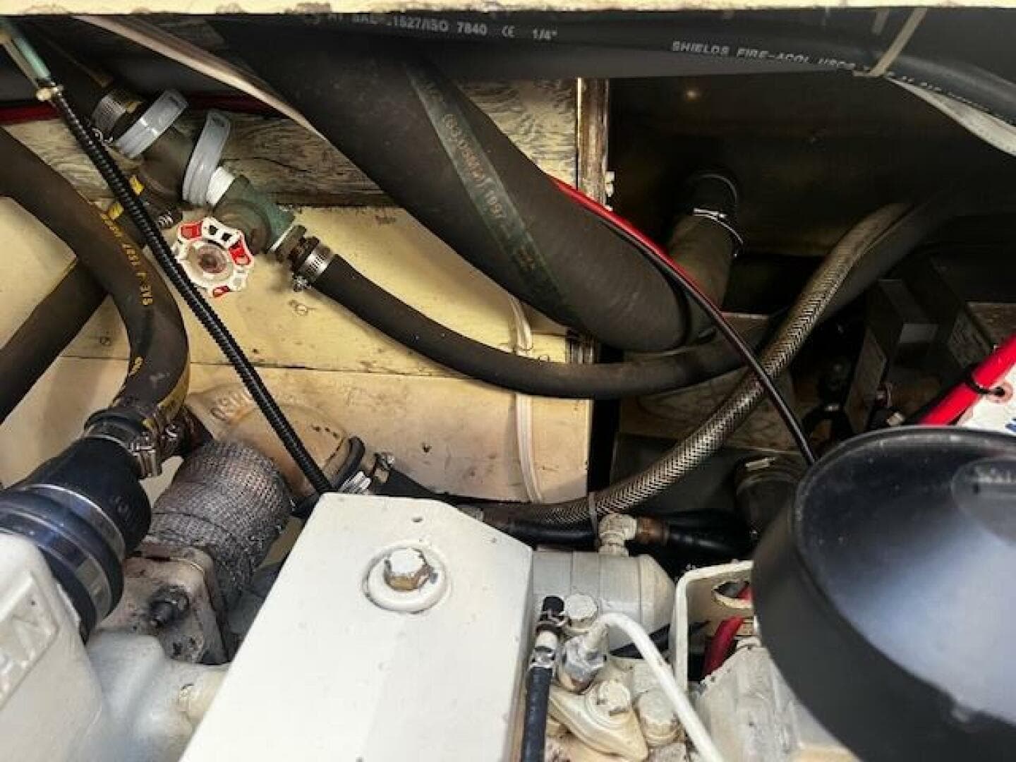 1972 Willard Vega — photo 74