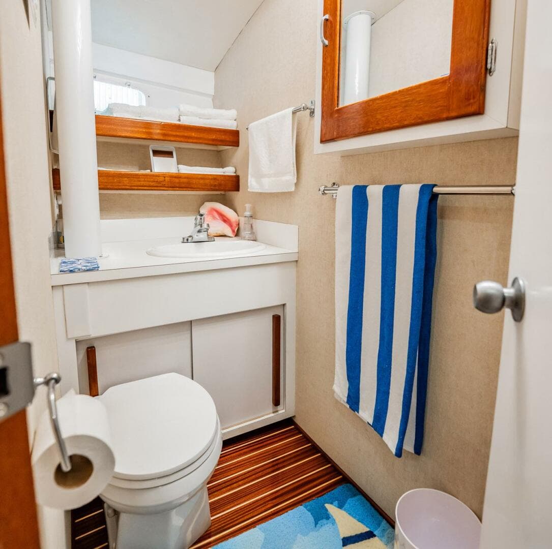 1971 Whiticar 62 Convertible — photo 33