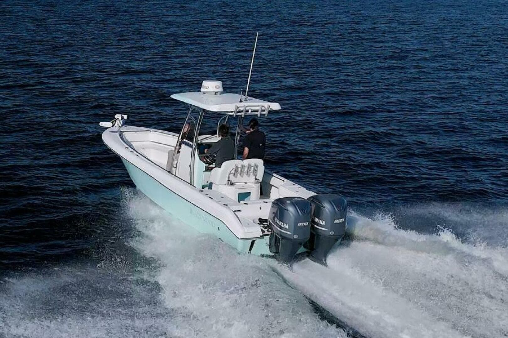 2017 Blackwood 270 LXF Hybrid — photo 9