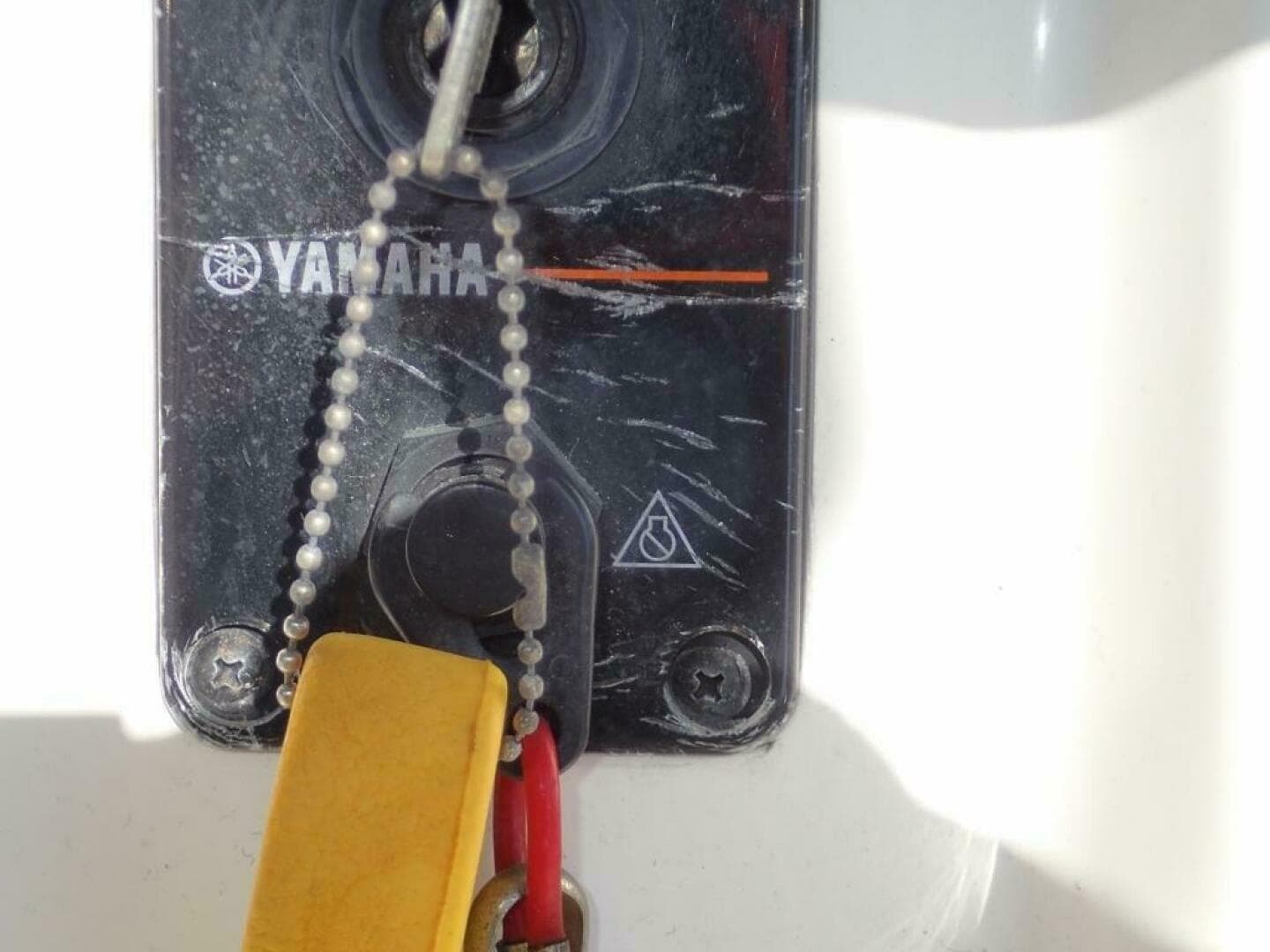 2016 Cobia — photo 27