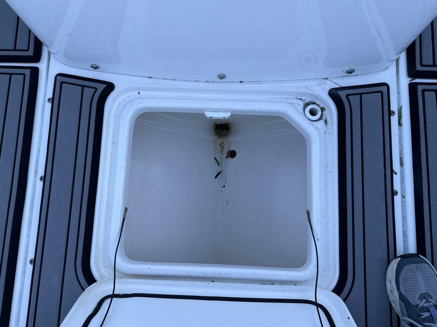 2023 Everglades 243 Center Console — photo 9