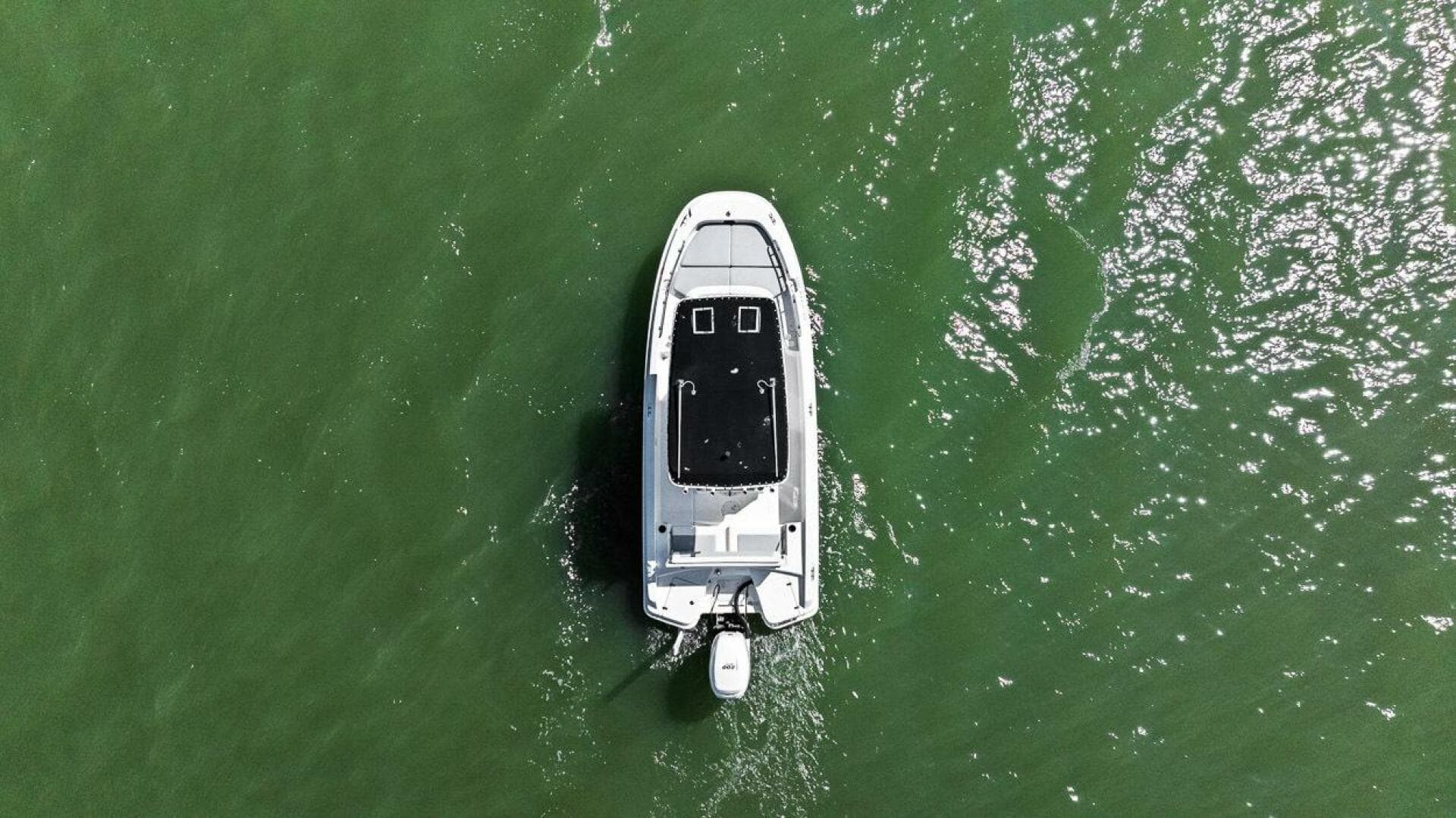 2016 Boston Whaler 210 Dauntless — photo 7