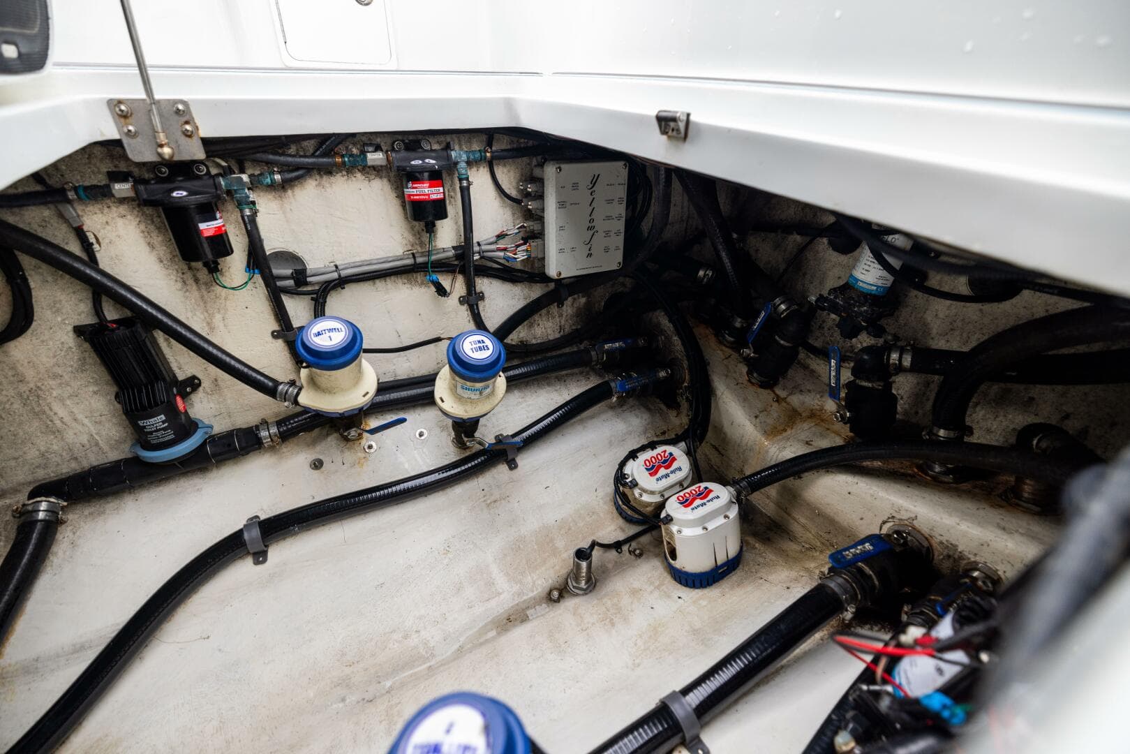 2018 Yellowfin — photo 74