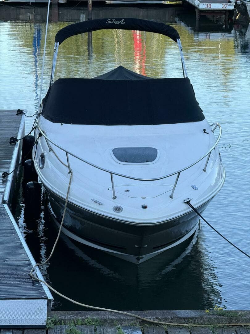 2007 Sea Ray 240 Sundancer — photo 4