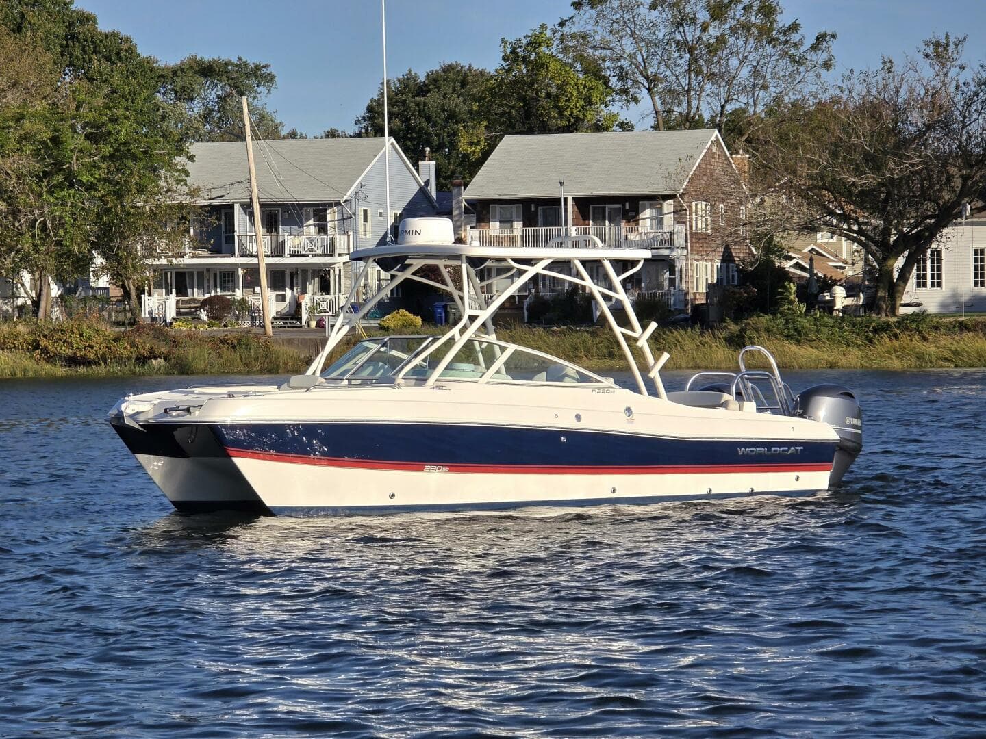 2024 World Cat — photo 5