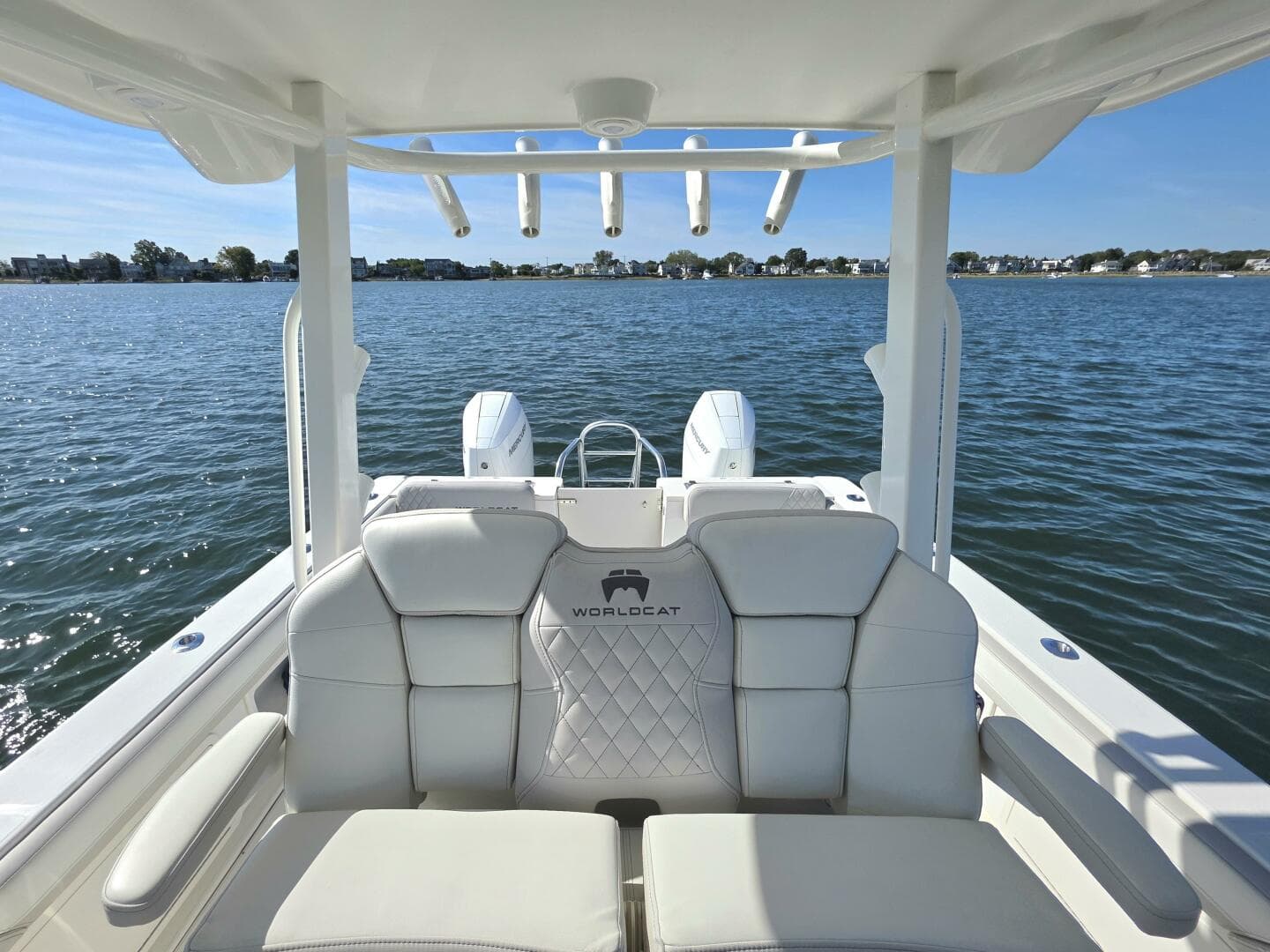 2024 World Cat — photo 8