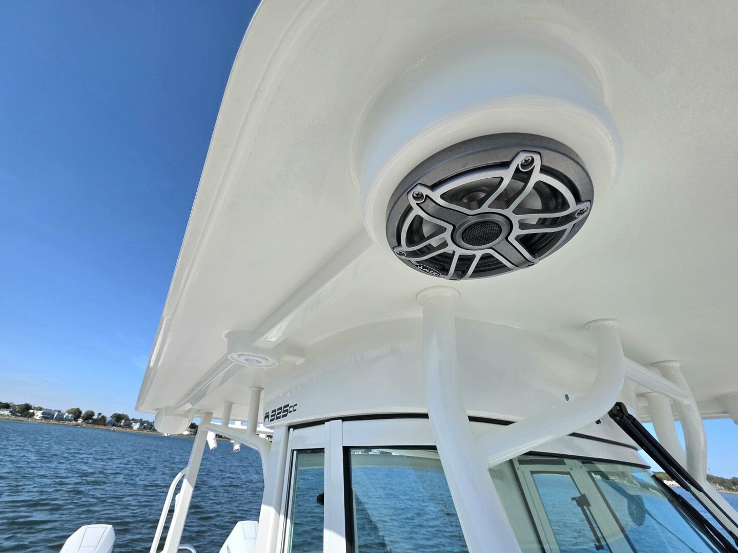 2024 World Cat — photo 18