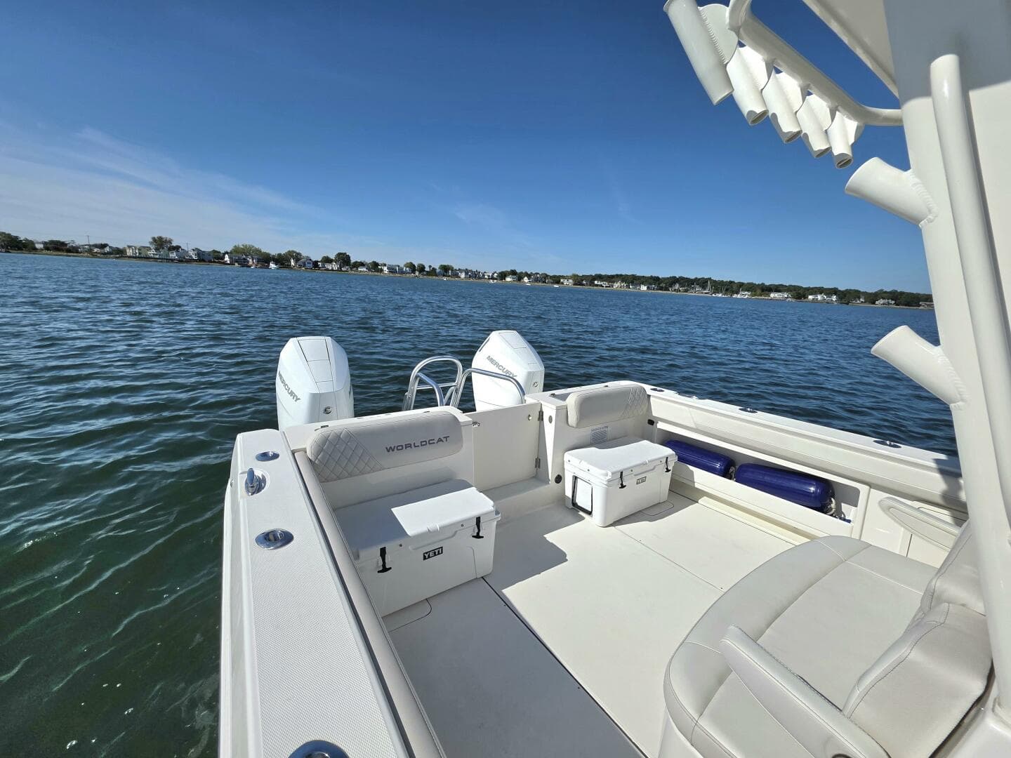 2024 World Cat — photo 9