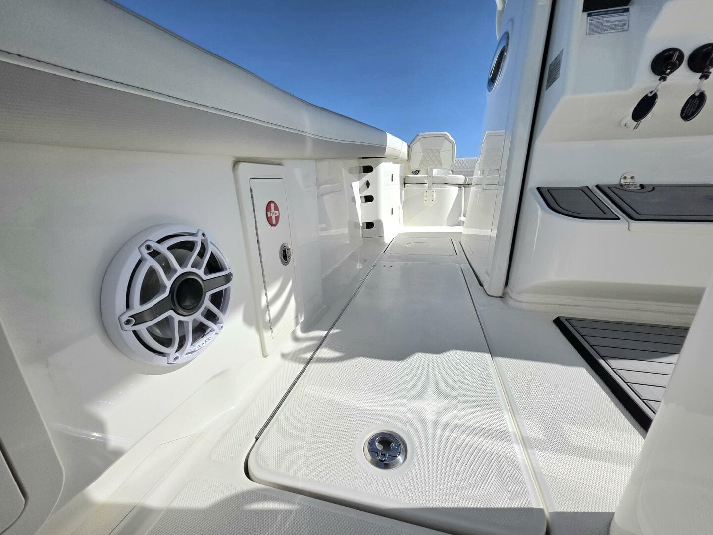 2024 World Cat — photo 14