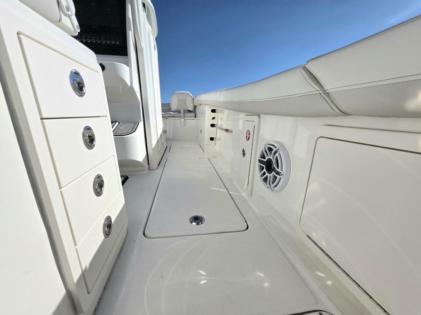 2024 World Cat — photo 13