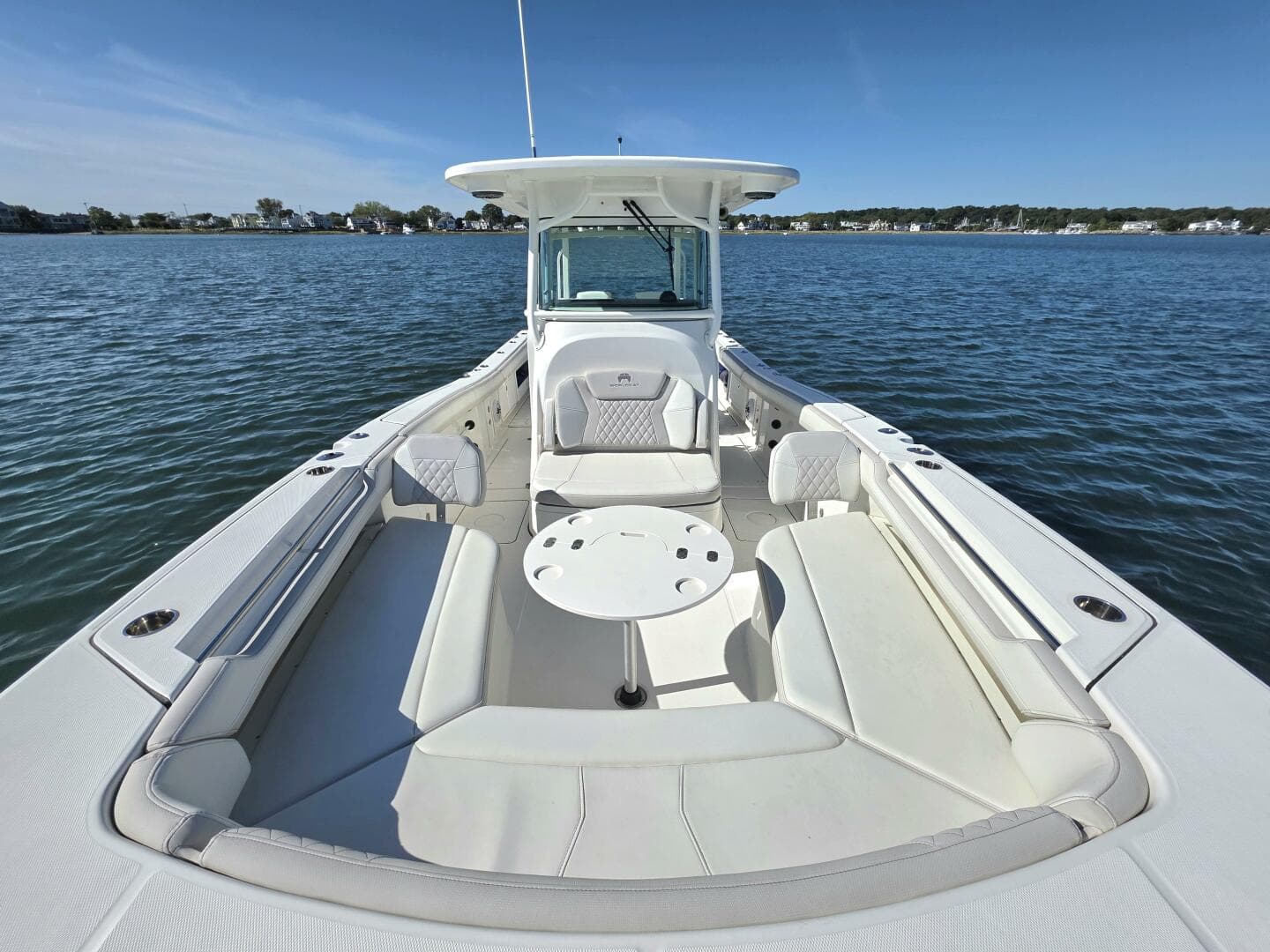 2024 World Cat — photo 17