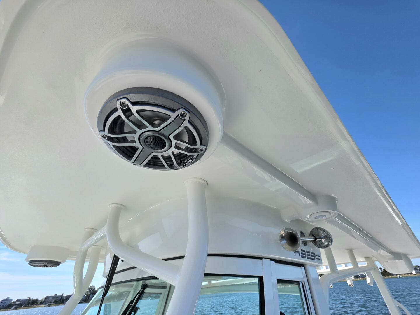 2024 World Cat — photo 19